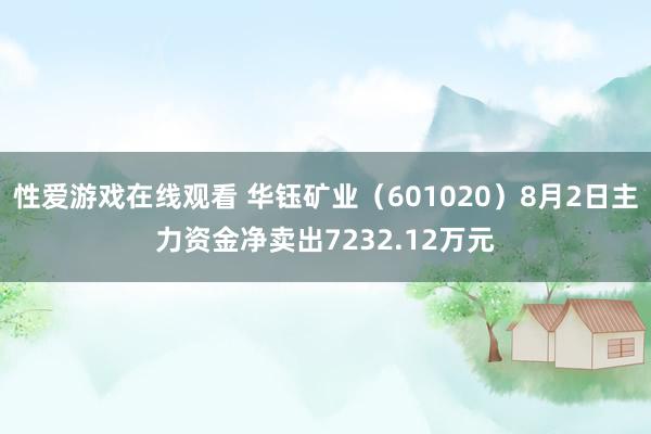 性爱游戏在线观看 华钰矿业（601020）8月2日主力资金净卖出7232.12万元