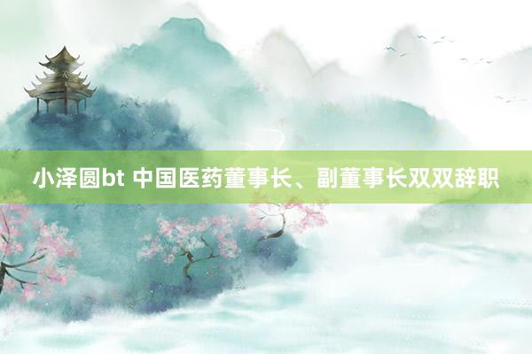 小泽圆bt 中国医药董事长、副董事长双双辞职