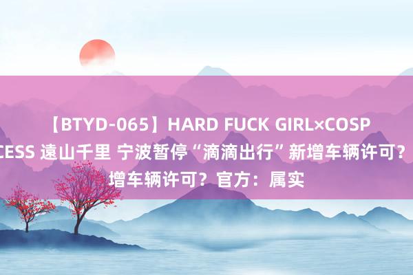 【BTYD-065】HARD FUCK GIRL×COSPLAY PRINCESS 遠山千里 宁波暂停“滴滴出行”新增车辆许可？官方：属实