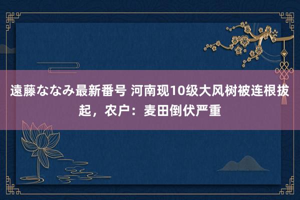 遠藤ななみ最新番号 河南现10级大风树被连根拔起，农户：麦田倒伏严重