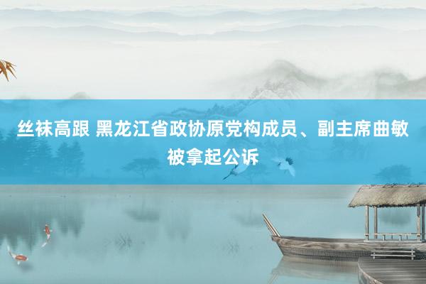 丝袜高跟 黑龙江省政协原党构成员、副主席曲敏被拿起公诉