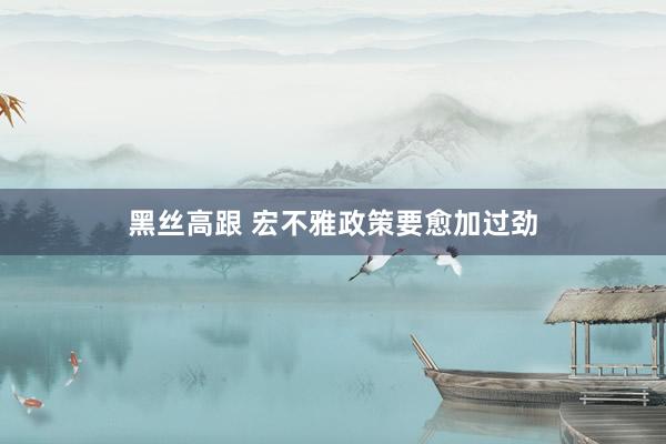 黑丝高跟 宏不雅政策要愈加过劲