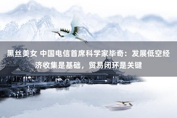 黑丝美女 中国电信首席科学家毕奇：发展低空经济收集是基础，贸易闭环是关键