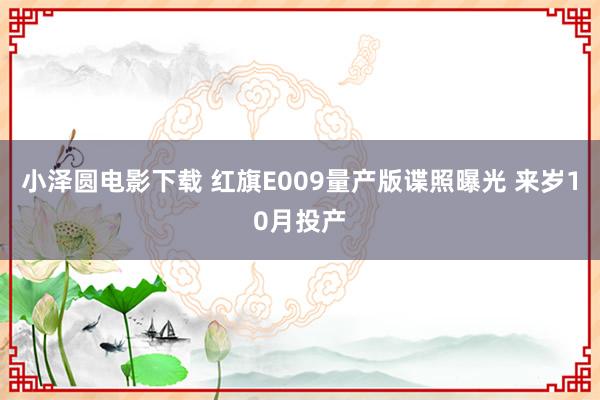 小泽圆电影下载 红旗E009量产版谍照曝光 来岁10月投产