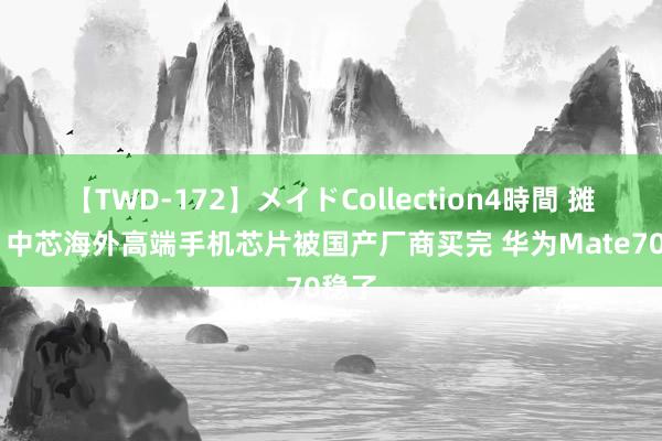 【TWD-172】メイドCollection4時間 摊牌了 中芯海外高端手机芯片被国产厂商买完 华为Mate70稳了