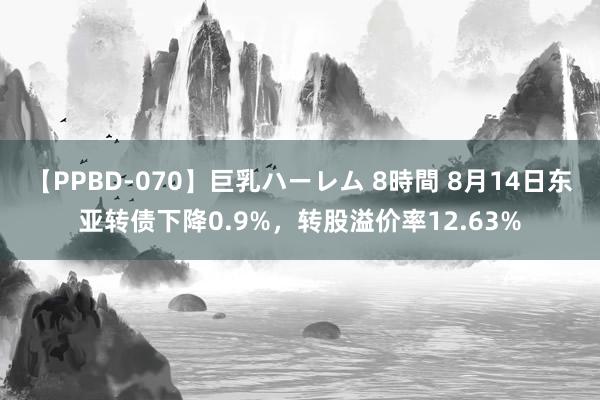 【PPBD-070】巨乳ハーレム 8時間 8月14日东亚转债下降0.9%，转股溢价率12.63%