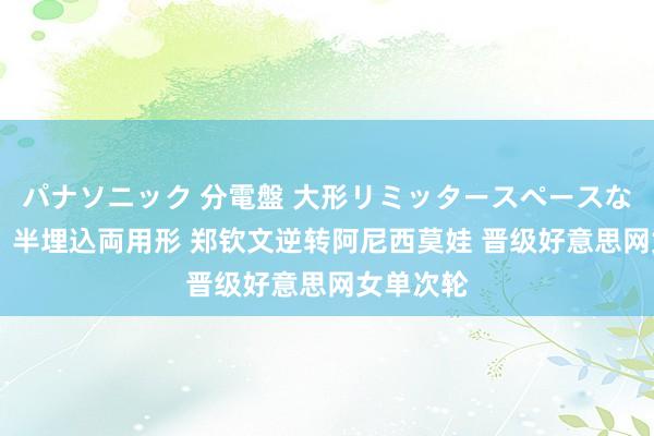 パナソニック 分電盤 大形リミッタースペースなし 露出・半埋込両用形 郑钦文逆转阿尼西莫娃 晋级好意思网女单次轮