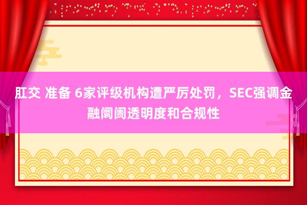 肛交 准备 6家评级机构遭严厉处罚，SEC强调金融阛阓透明度和合规性