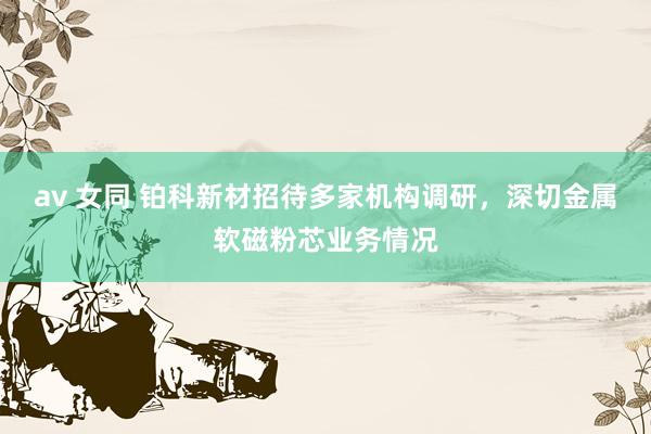 av 女同 铂科新材招待多家机构调研，深切金属软磁粉芯业务情况