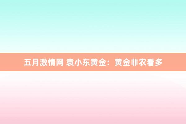 五月激情网 袁小东黄金：黄金非农看多