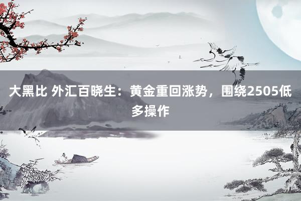 大黑比 外汇百晓生：黄金重回涨势，围绕2505低多操作