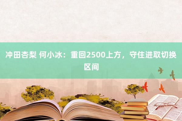 冲田杏梨 何小冰：重回2500上方，守住进取切换区间
