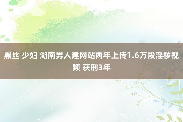 黑丝 少妇 湖南男人建网站两年上传1.6万段淫秽视频 获刑3年