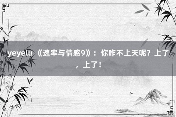 yeyelu 《速率与情感9》：你咋不上天呢？上了，上了！