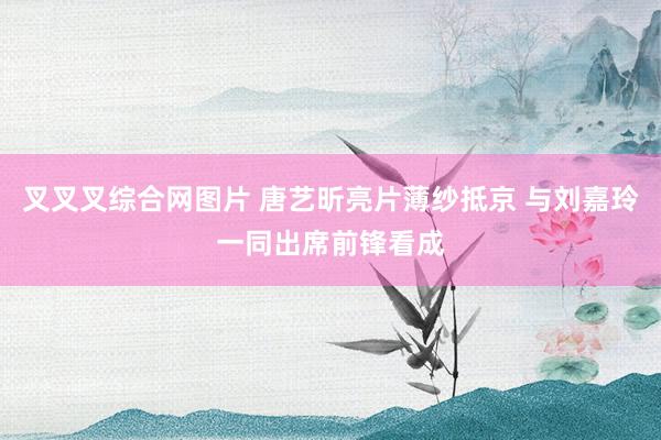 叉叉叉综合网图片 唐艺昕亮片薄纱抵京 与刘嘉玲一同出席前锋看成