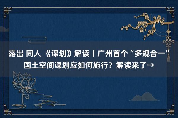 露出 同人 《谋划》解读丨广州首个“多规合一”国土空间谋划应如何施行？解读来了→