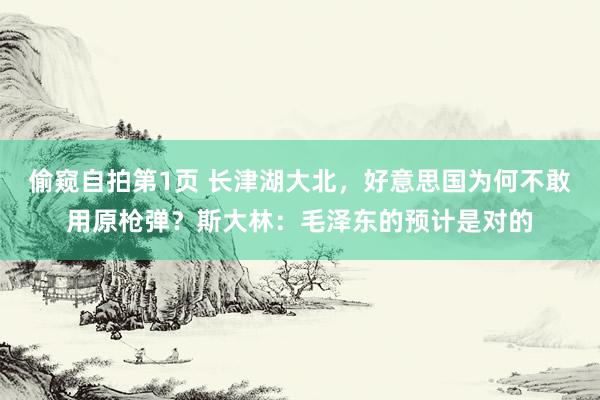 偷窥自拍第1页 长津湖大北，好意思国为何不敢用原枪弹？斯大林：毛泽东的预计是对的