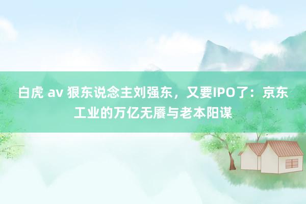 白虎 av 狠东说念主刘强东，又要IPO了：京东工业的万亿无餍与老本阳谋