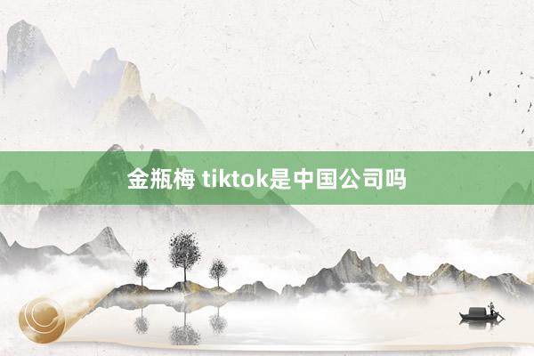 金瓶梅 tiktok是中国公司吗