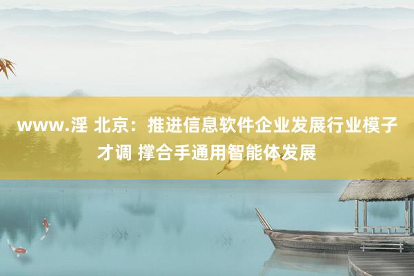 www.淫 北京：推进信息软件企业发展行业模子才调 撑合手通用智能体发展