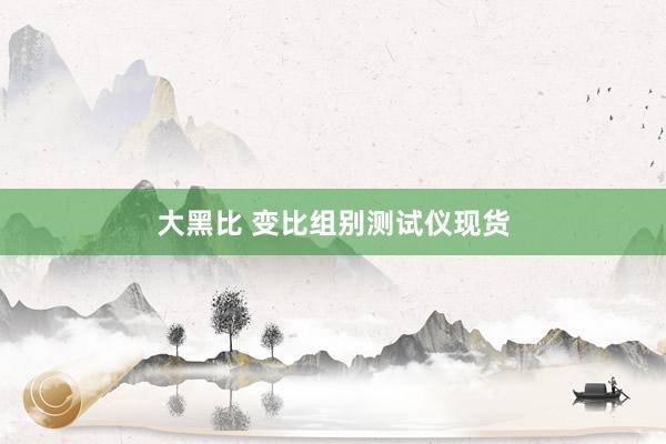大黑比 变比组别测试仪现货