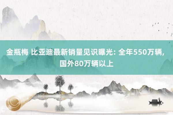 金瓶梅 比亚迪最新销量见识曝光: 全年550万辆, 国外80万辆以上