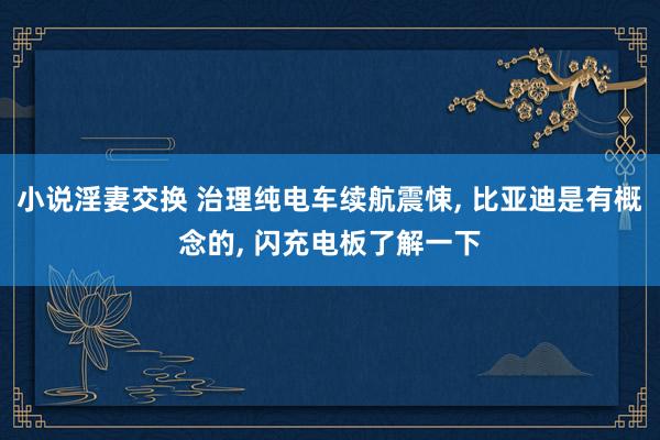 小说淫妻交换 治理纯电车续航震悚, 比亚迪是有概念的, 闪充电板了解一下