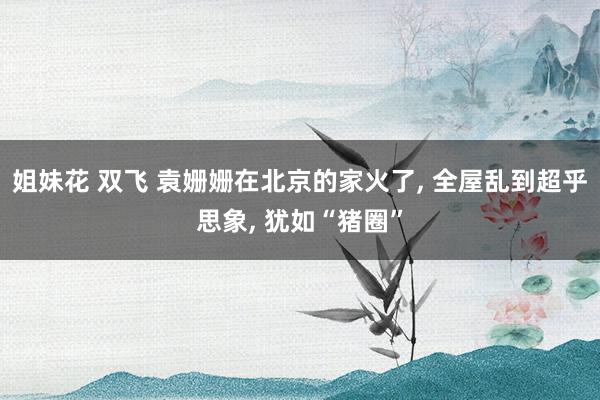 姐妹花 双飞 袁姗姗在北京的家火了, 全屋乱到超乎思象, 犹如“猪圈”