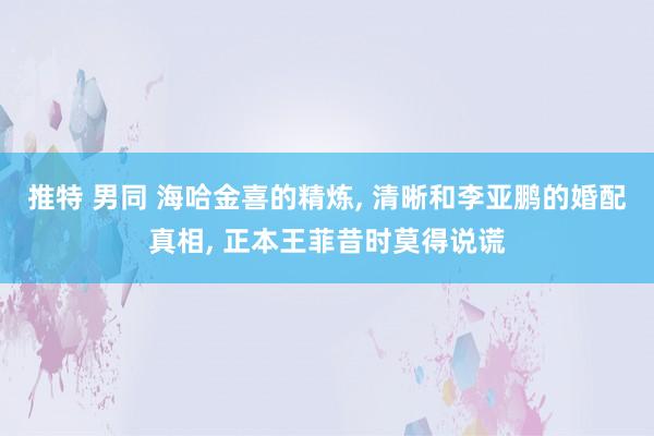推特 男同 海哈金喜的精炼, 清晰和李亚鹏的婚配真相, 正本王菲昔时莫得说谎
