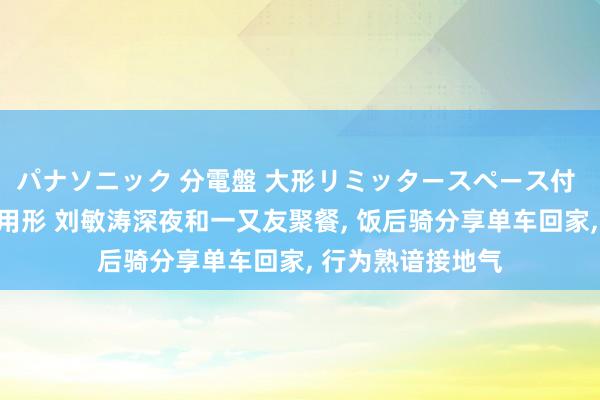 パナソニック 分電盤 大形リミッタースペース付 露出・半埋込両用形 刘敏涛深夜和一又友聚餐, 饭后骑分享单车回家, 行为熟谙接地气