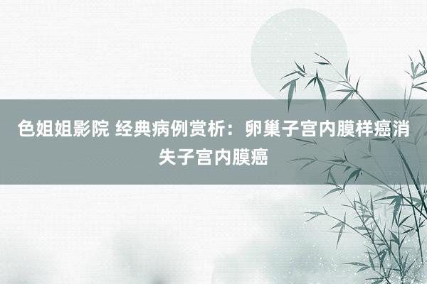 色姐姐影院 经典病例赏析：卵巢子宫内膜样癌消失子宫内膜癌