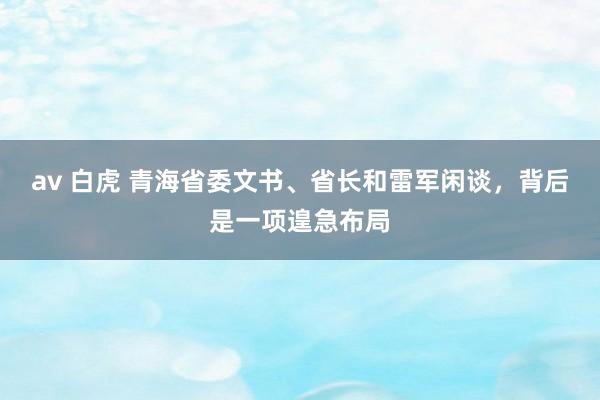 av 白虎 青海省委文书、省长和雷军闲谈，背后是一项遑急布局