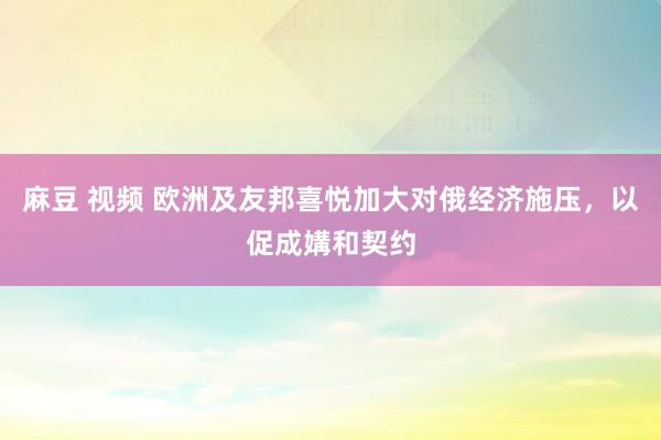 麻豆 视频 欧洲及友邦喜悦加大对俄经济施压，以促成媾和契约